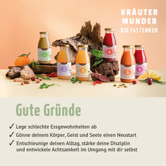 Bio Detoks Kürü 1-7 Gün