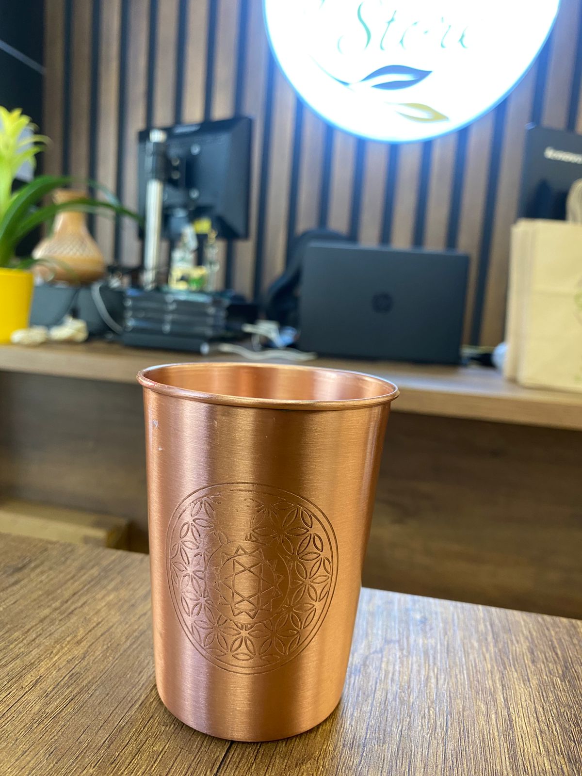 250 ml Tasarım Bitimli Hacimli Su Bardağı Dayanıklı Metal Kupa Hayat Çiçeği